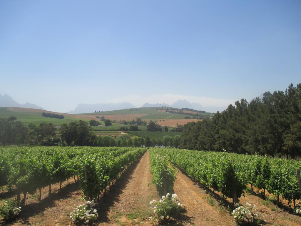 Clos Malverne Wine Estate Stellenbosch Exterior photo
